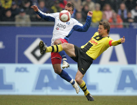 养产生了深 养产生了深