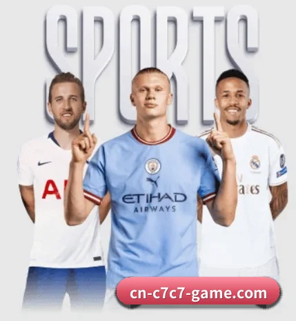 五大服务分区,信息按项目分类（www.c7c7.app）